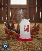Load image into Gallery viewer, API Heated Chicken or Bird Waterer Heated Poultry Waterer, 3 Gallon