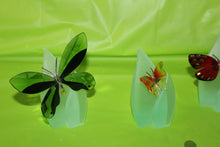 Load image into Gallery viewer, Swarovski Crystal 8 Piece Paradise Butterfly Set With Magnetic Display
