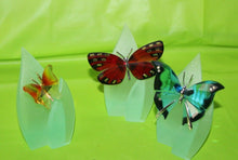 Load image into Gallery viewer, Swarovski Crystal 8 Piece Paradise Butterfly Set With Magnetic Display