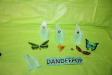 Load image into Gallery viewer, Swarovski Crystal 8 Piece Paradise Butterfly Set With Magnetic Display