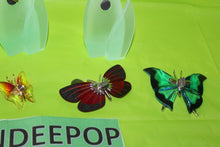 Load image into Gallery viewer, Swarovski Crystal 8 Piece Paradise Butterfly Set With Magnetic Display