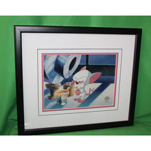 Load image into Gallery viewer, Warner Bros Animaniacs Pinky And The Brain Jockeying For Position Animation Cel