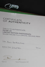 Load image into Gallery viewer, Peter Lik Fall Reflections Silver Halide Fuji Crystal Archive Numbered Signed