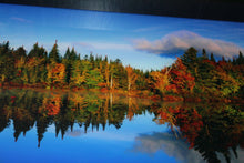 Load image into Gallery viewer, Peter Lik Fall Reflections Silver Halide Fuji Crystal Archive Numbered Signed