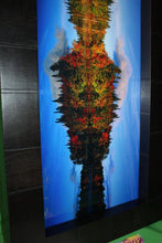 Load image into Gallery viewer, Peter Lik Fall Reflections Silver Halide Fuji Crystal Archive Numbered Signed