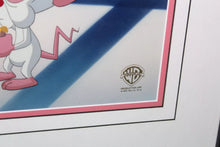 Load image into Gallery viewer, Warner Bros Animaniacs Pinky And The Brain Jockeying For Position Animation Cel