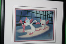 Load image into Gallery viewer, Warner Bros Animaniacs Pinky And The Brain That Smarts Animation Cartoon Cel