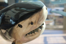 Load image into Gallery viewer, Wyland Feeding Frenzy Dining Table Artist Signed Limited Edition AP8/50 Bronze