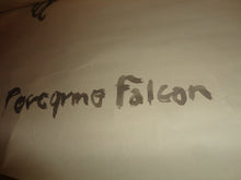Load image into Gallery viewer, Peregrine Falcon Original Brushed Ink Painting on Paper 24 x 18 signed A.S. Art