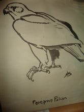 Load image into Gallery viewer, Peregrine Falcon Original Brushed Ink Painting on Paper 24 x 18 signed A.S. Art