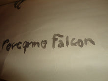 Load image into Gallery viewer, Peregrine Falcon Original Brushed Ink Painting on Paper 24 x 18 signed A.S. Art
