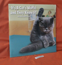 Load image into Gallery viewer, It's A Cats World And They Know It 2009 Sealed 16 Month Calendar