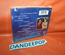 Load image into Gallery viewer, More Songs from Pooh Corner by Kenny Loggins (CD, Feb-2000, BMG (distributor))