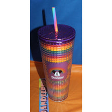 Load image into Gallery viewer, Walt Disneyworld Starbucks Pride Rainbow Color Drink Tumbler With Straw 2024
