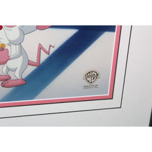 Load image into Gallery viewer, Warner Bros Animaniacs Pinky And The Brain Jockeying For Position Animation Cel
