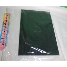 Load image into Gallery viewer, Vintage Original Sealed TLD Playboy Calendar Picture Frame 2002 Jodi Paterson
