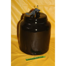 Load image into Gallery viewer, Rae Dunn Fangs For The Memories Black Ceramic Storage Canister Artisan Halloween

