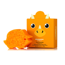 Load image into Gallery viewer, Sally Stegosaurus &amp; Tina Triceratops Dinosaur Set
