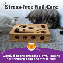Load image into Gallery viewer, *The Original* Cat Nail File Enrichment Box
