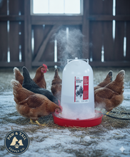Load image into Gallery viewer, API Heated Chicken or Bird Waterer Heated Poultry Waterer, 3 Gallon
