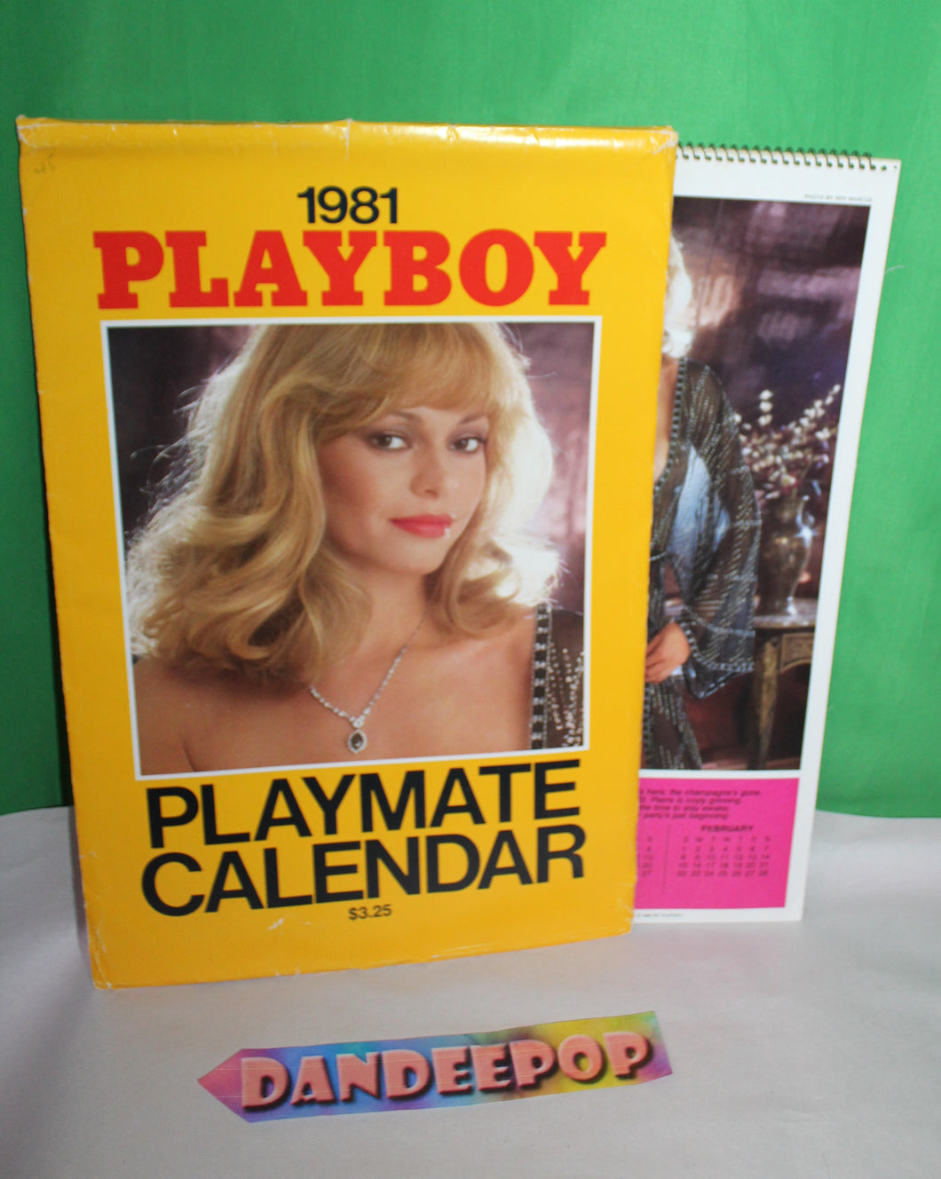 1981 Vintage Playboy Playmate Wall Calendar