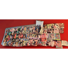 Load image into Gallery viewer, Topps Vampirella Premier Edition 126 Assorted Trading Cards Set And Extras 1995

