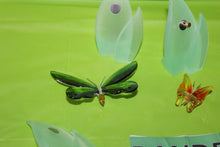 Load image into Gallery viewer, Swarovski Crystal 8 Piece Paradise Butterfly Set With Magnetic Display
