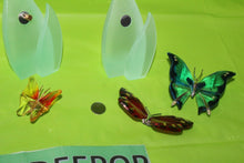 Load image into Gallery viewer, Swarovski Crystal 8 Piece Paradise Butterfly Set With Magnetic Display

