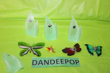 Load image into Gallery viewer, Swarovski Crystal 8 Piece Paradise Butterfly Set With Magnetic Display
