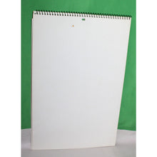 Load image into Gallery viewer, Playboy Playmate Wall Calendar Vintage 2001
