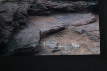 Load image into Gallery viewer, Peter Lik Sacred Sunrise Silver Halide Fuji Crystal Archive Numbered Signed 81
