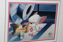 Load image into Gallery viewer, Warner Bros Animaniacs Pinky And The Brain Jockeying For Position Animation Cel
