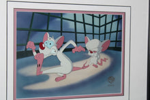 Load image into Gallery viewer, Warner Bros Animaniacs Pinky And The Brain That Smarts Animation Cartoon Cel
