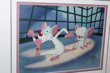 Load image into Gallery viewer, Warner Bros Animaniacs Pinky And The Brain That Smarts Animation Cartoon Cel

