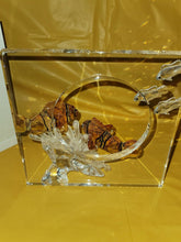 Load image into Gallery viewer, Swarovski Crystal Signed Annual Edition Wonders Of The Sea Harmony SCS 2005 Colr
