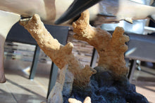 Load image into Gallery viewer, Wyland Feeding Frenzy Dining Table Artist Signed Limited Edition AP8/50 Bronze
