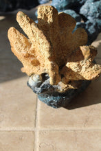 Load image into Gallery viewer, Wyland Feeding Frenzy Dining Table Artist Signed Limited Edition AP8/50 Bronze
