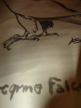 Load image into Gallery viewer, Peregrine Falcon Original Brushed Ink Painting on Paper 24 x 18 signed A.S. Art
