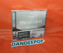 Load image into Gallery viewer, Life in Slow Motion by David Gray (CD, Mar-2015, Iht Records)
