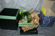 Load image into Gallery viewer, Gift Tree Spring Enchantment Hanging Gazing Green Art Glass Ball Ornament Gift
