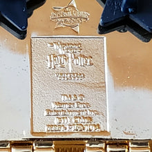 Load image into Gallery viewer, Wizarding World Of Harry Potter Chocolate Frog Universal Orlando Collector Pin
