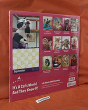 Load image into Gallery viewer, It's A Cats World And They Know It 2009 Sealed 16 Month Calendar

