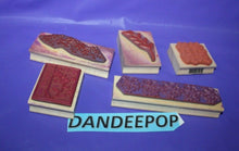 Load image into Gallery viewer, 5 Vicki Schreiner And Great Impressions Rubber Stamp Set Florals Plum Blossom
