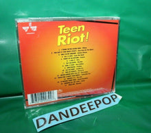 Load image into Gallery viewer, Teen Riot by Various Artists (CD, Aug-2000, Razor &amp; Tie)
